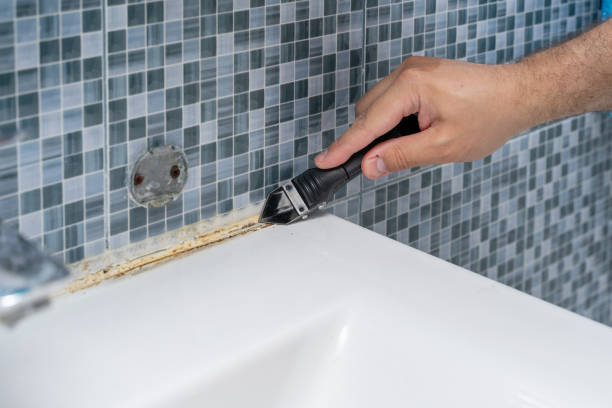 Best White Mold Remediation in West Little River, FL